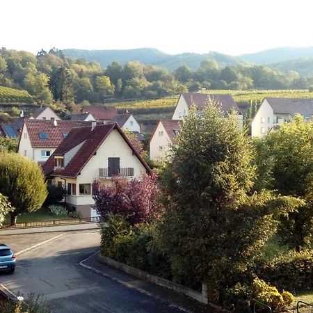 Marcia Donatti - A L'Ombre Des Coteaux Sao Paulo Hotell Kaysersberg-Vignoble Eksteriør bilde