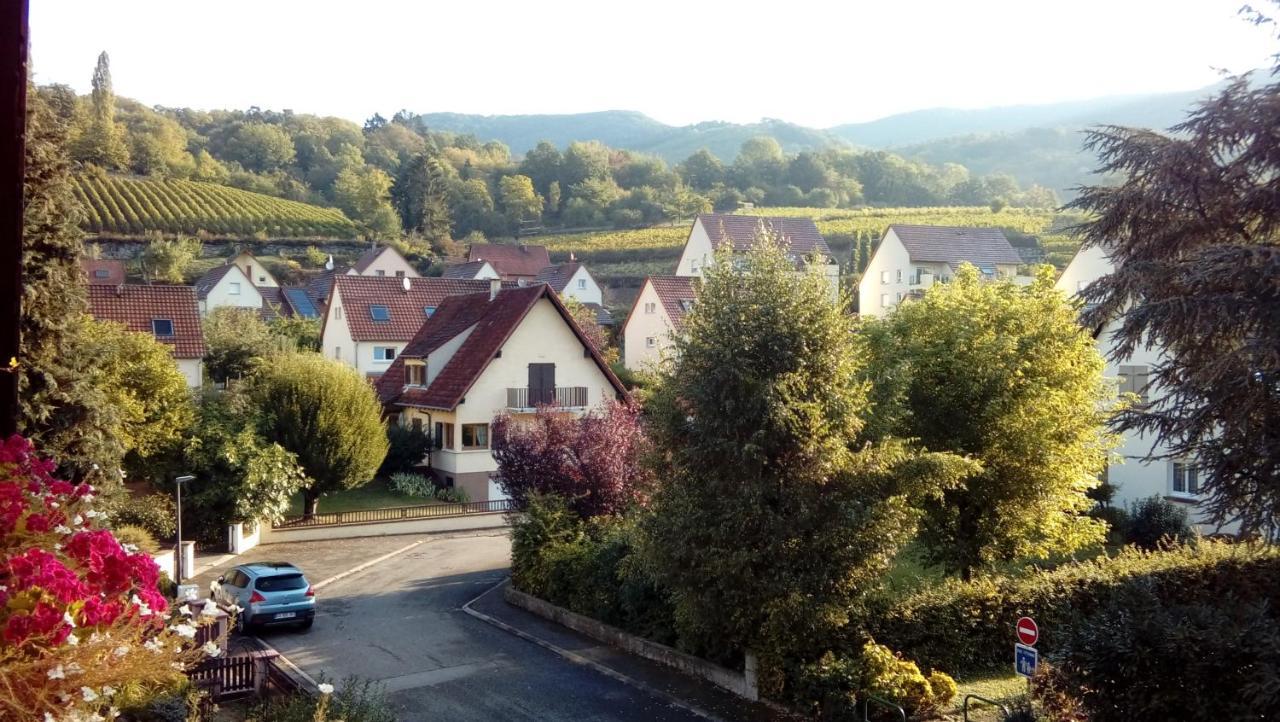 Marcia Donatti - A L'Ombre Des Coteaux Sao Paulo Hotell Kaysersberg-Vignoble Eksteriør bilde