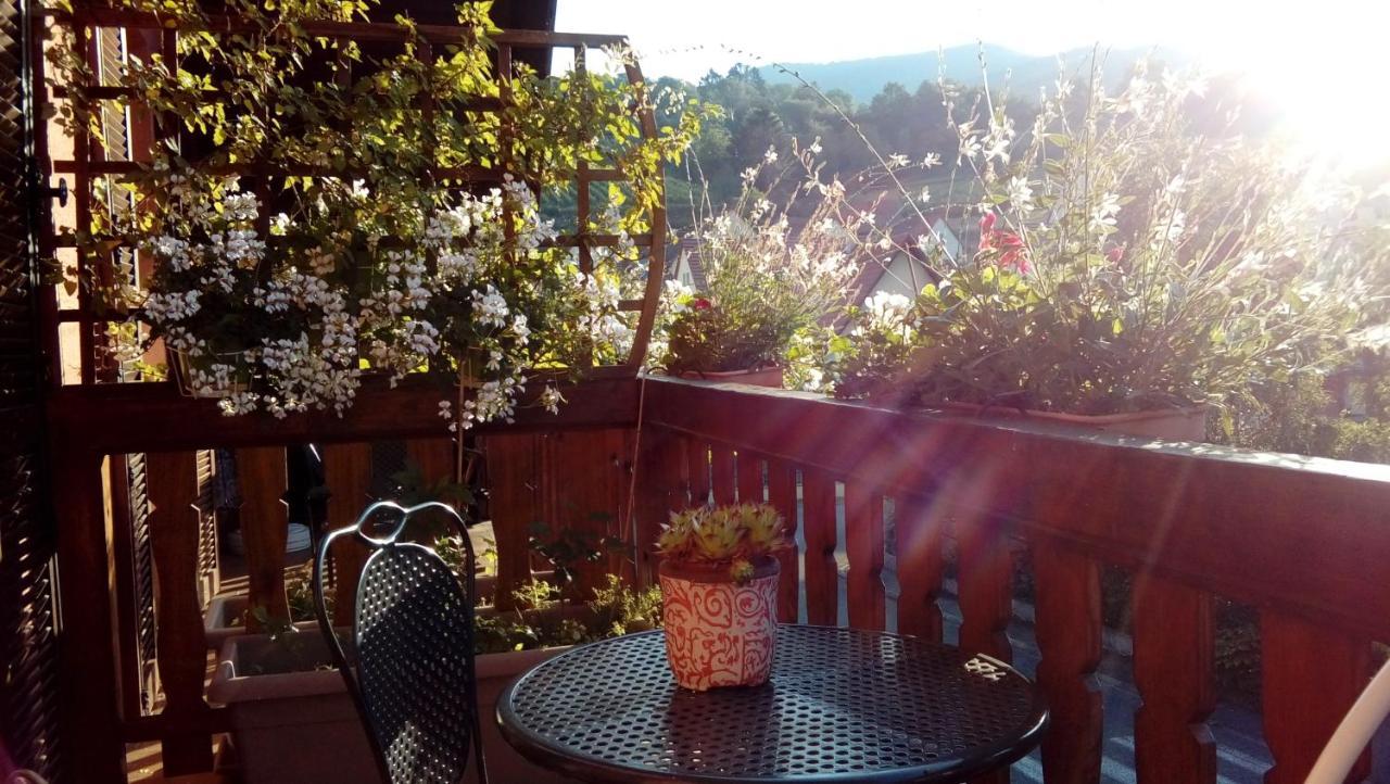 Marcia Donatti - A L'Ombre Des Coteaux Sao Paulo Hotell Kaysersberg-Vignoble Eksteriør bilde
