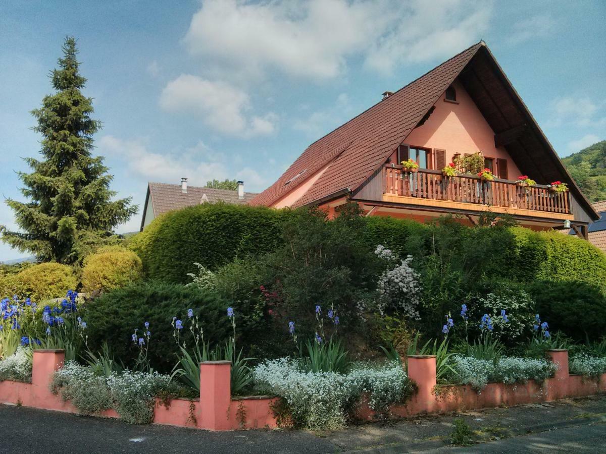 Marcia Donatti - A L'Ombre Des Coteaux Sao Paulo Hotell Kaysersberg-Vignoble Eksteriør bilde